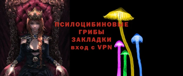 mdpv Богородицк
