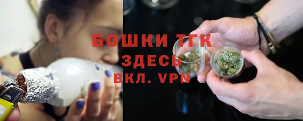 гидра Белокуриха