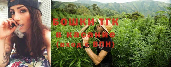 эйфоретик Богданович