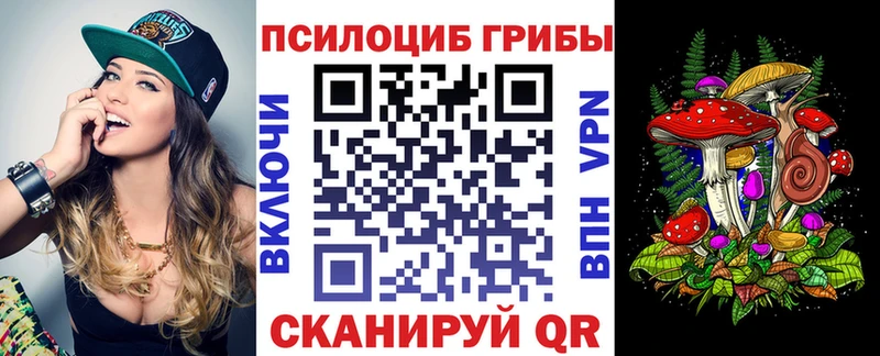 Галлюциногенные грибы Psilocybe  Купить  Калачинск 